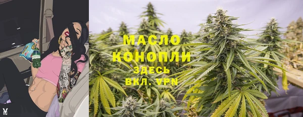 стаф Богородицк