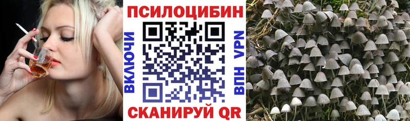Псилоцибиновые грибы прущие грибы  Верхняя Тура 